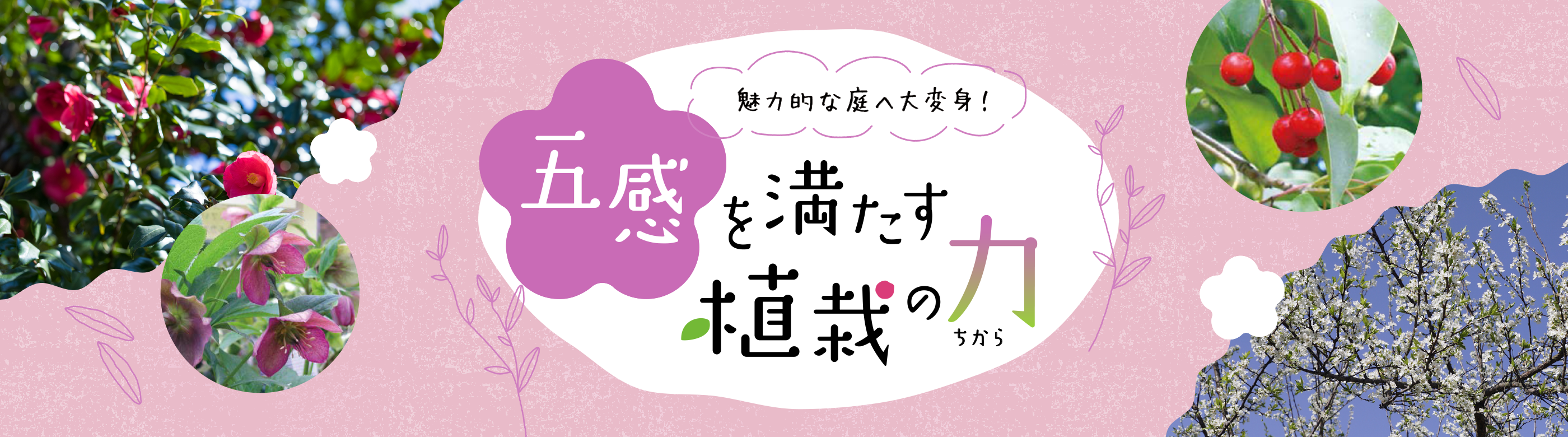 魅力的な庭へ大変身！五感を満たす植栽の力